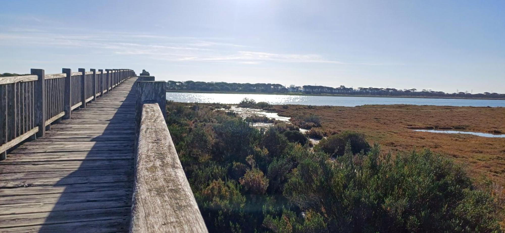 Apartamento Primera Linea De Playa Valdelagrana El Puerto de Santa Maria Bagian luar foto
